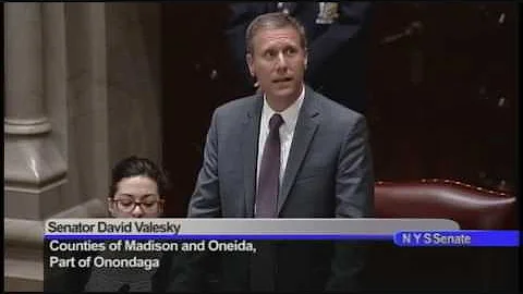 Senator Valesky comments on the Confirmation of Sh...