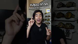 หลุมอากาศ คือหลุมอะไรในอากาศ และน่ากลัวมั้ย? #saysci #ความรู้ #เรื่องเล่า #สาระ