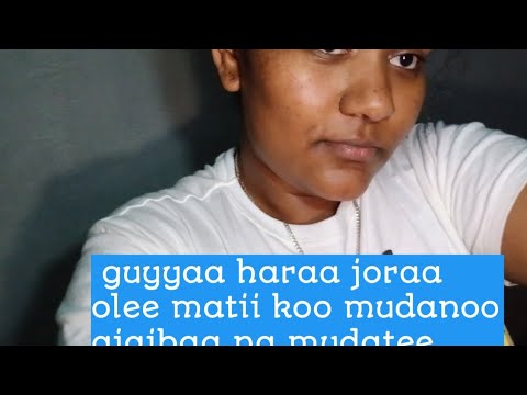 Guyaa Haraa Joraa Olee Kan An Mudatee Kunii Sin Hin Mudatin