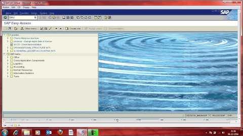 Assign Chart of Account to Company Code in SAP FI module.