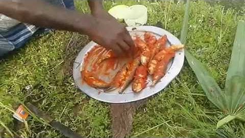 Cá Suối ướp gia vị " Treo gác bếp " món ăn dân dã hương vị đồng quê