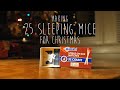 Making 25 Sleeping Mice for Christmas