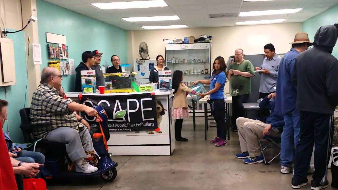 SCAPE Meeting at Pet Supreme. Visiting Rainbow Aquariums YouTube