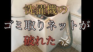 洗濯機の中でゴミクズ達が縦横無尽に暴れまくっていた