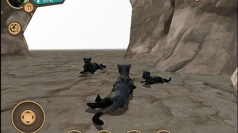 Wild Panther Sim 3D - Rainforest RPG Adventure iOS Gameplay - Part 4