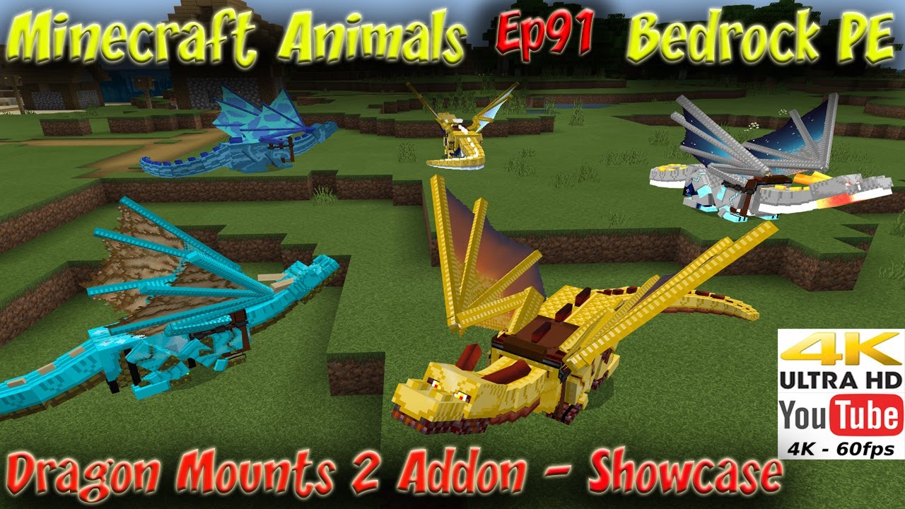 Dragon Mounts 2 Addon Showcase Tutorial Ride On Dragons Minecraft Bedrock Pe Minecraft Animals Ep91 Youtube