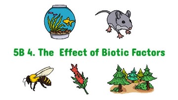 5B 4. The Effect of Biotic Factors (on Populations) | Edexcel IAL Biology | Unit 4