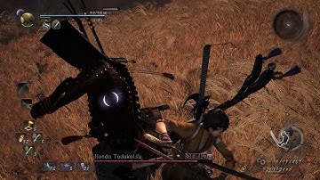 The Two Kings:Nioh Level 1 NG+4 (Way of the Nioh)