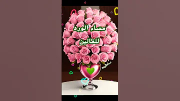 مساء الورد Aichabn6098 