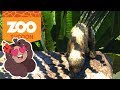 Baby Leopards on Slides?! Too Cute!! 🦁 Zoo Tycoon: Ultimate Animal Collection • #5