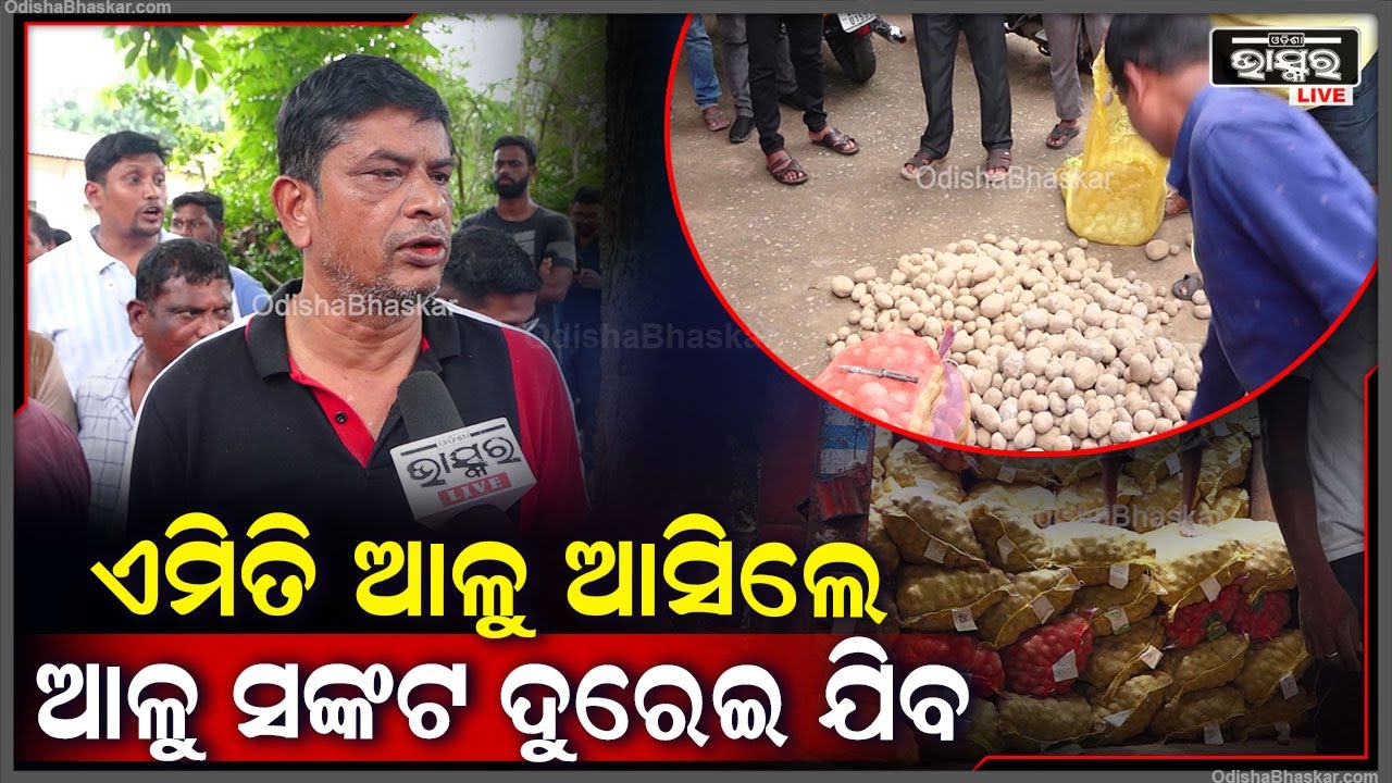 ଏମିତି ଆଳୁ ଆସିଲେ ଆଳୁ ସଙ୍କଟ ଦୁରେଇ ଯିବ..ଖାଉଟିମାନେ ଉପକୃତ ହେବେ