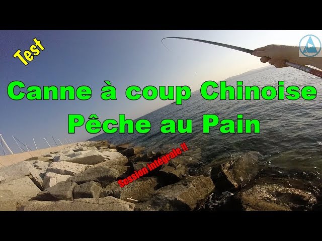 Et voilà le deuxième silure à la canne à coup chinoise ! un peu plus g