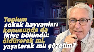 Toplum sokak hayvanları konusunda da ikiye bölündü: öldürerek mi, yaşatarak mu çözelim?