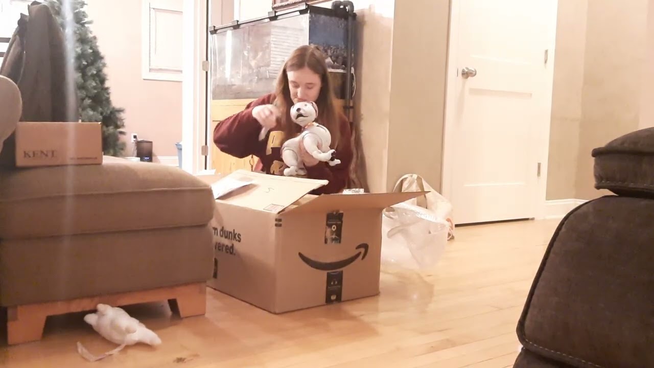 Unboxing the Late Aibo Ambassador Rufus' Mia Bo