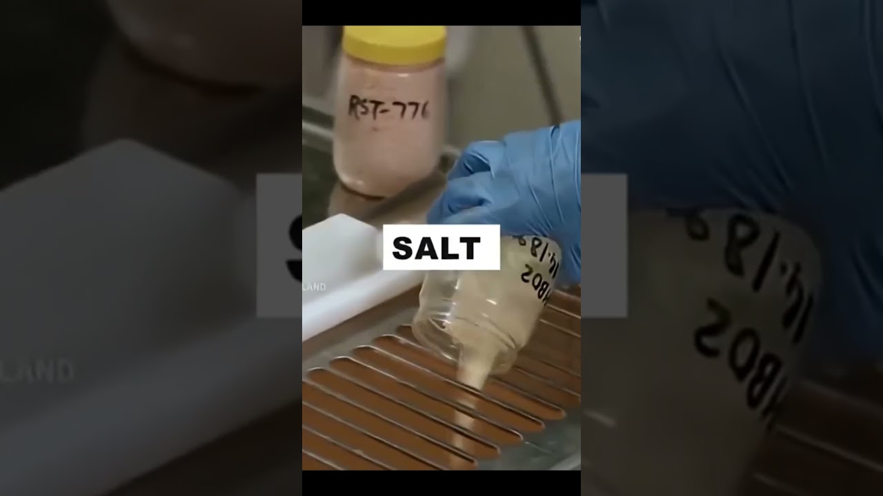 How Amul Butter Made In Factory 