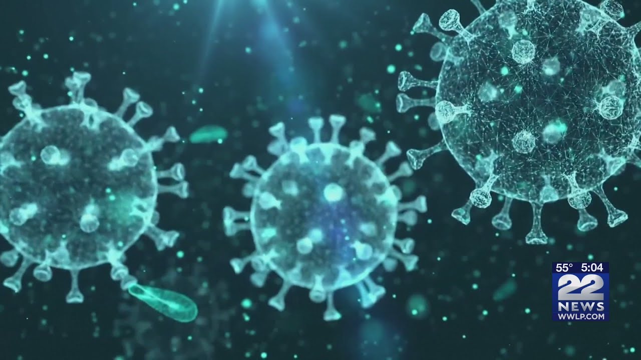 New subvariant of COVID-19 seen in United States - YouTube