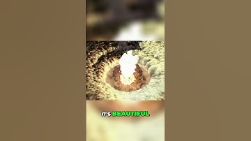 The Best way to Defend your Space Platform in Factorio