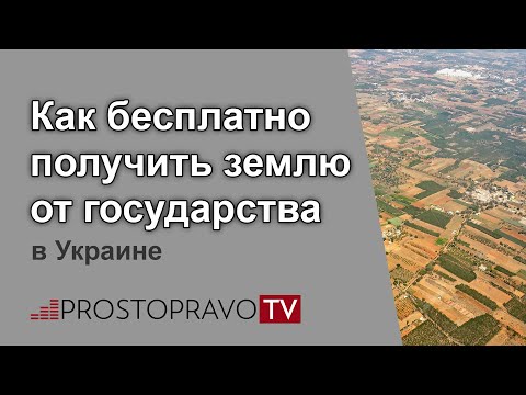 Как бесплатно получить землю от государства в 2020 году в Украине