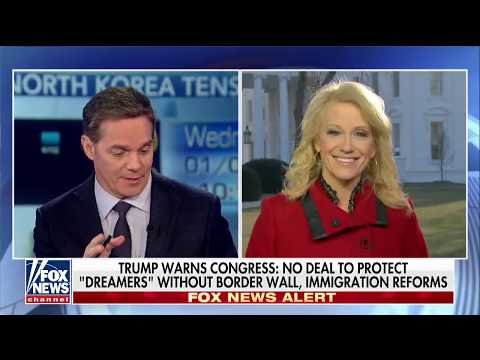 Fake News Awards? Conway Backs Up Trump's Tweet on Naming Media's 'Most Dishonest'