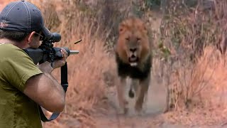 Animals do not surrender to hunters 😱🔥👍👌 Part 2