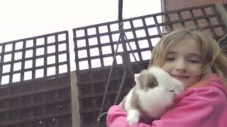 Meet My Slay Rabbit Peter