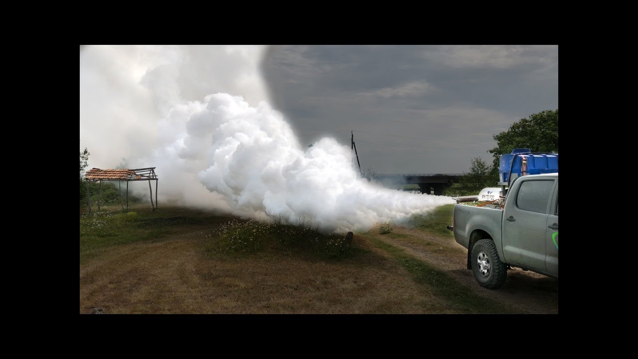 fumigar, fumigación con humo - YouTube