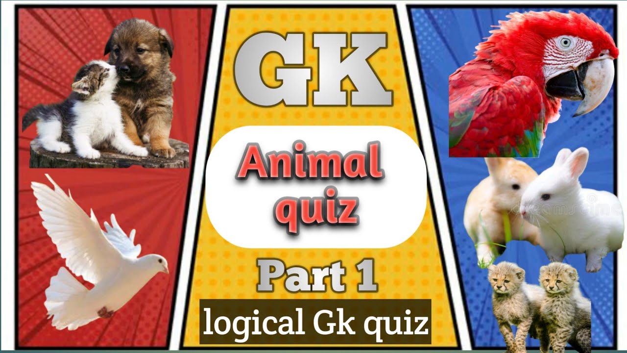 The Animal GK Quiz Test your knowledge of animalsAnimal Quiz Part 1