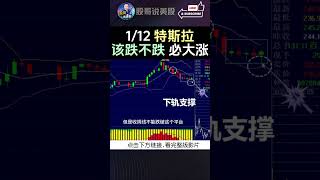 shorts【特斯拉 该跌不跌必大涨】特斯拉特斯拉股票 美股 美股分析股哥说美股 tesla 马斯克 美股复盘