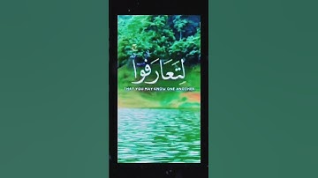 -#القارئ-#الشيخ - #محمدالفقية #اكسبلور#راحة_نفسية#ماشاءالله