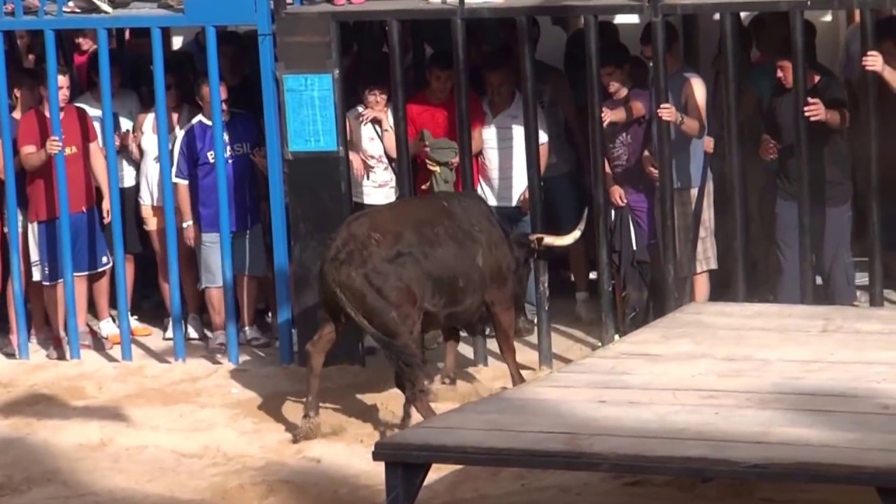 Vaca Rumba de F.Mansilla.