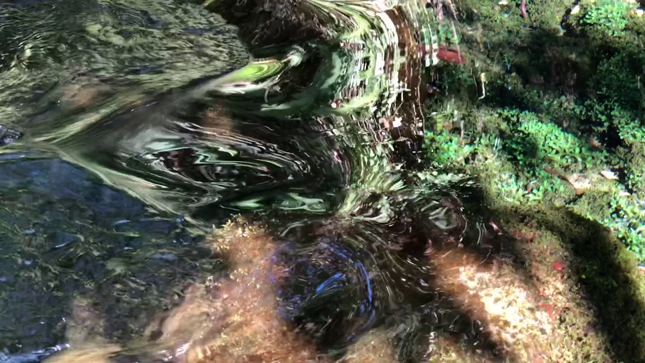 池の川水源 Youtube 池の川水源 Youtube