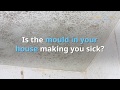 Mould Removal Ireland