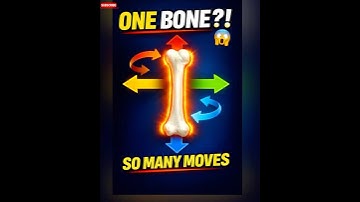 This One Bone Controls Your Arm #Shorts #youtubeshorts #trending #viral #facts  #shortvideo