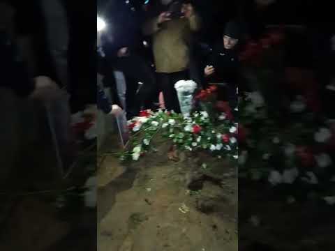 Ferdi Tayfur Elveda