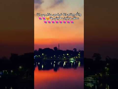 انا غرضي حلال يا بنتي انا عيزك زي ما انتي حالات واتس قصص حموالطيخا اغاني