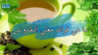 ما هي فوائد مغلي البقدونس