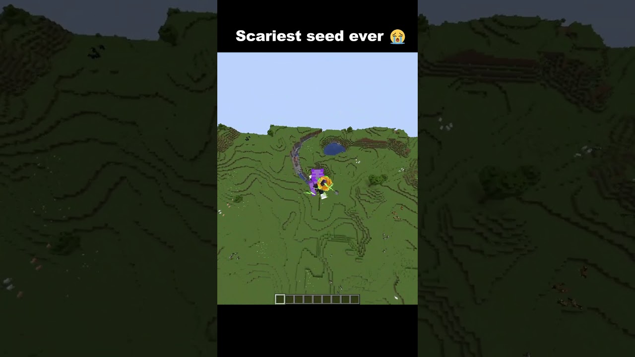 Minecraft Smile Moment