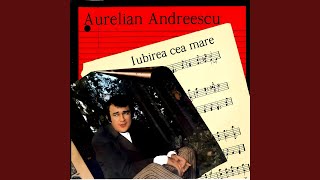 Ploua Mărunt - Aurelian Andreescu