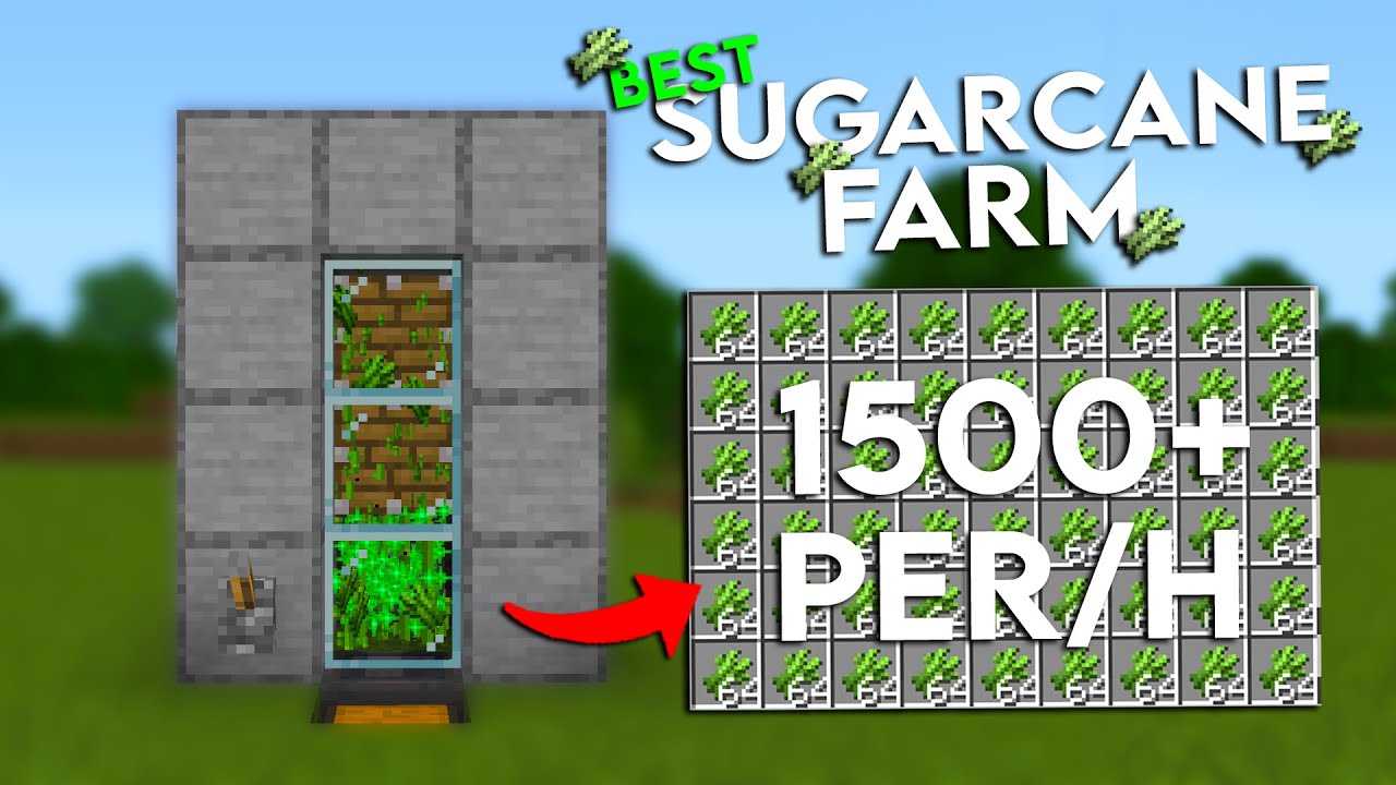 BEST 1.19 AUTOMATIC SUGARCANE FARM TUTORIAL in Minecraft Bedrock (MCPE ...