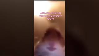 أهم شي نغمة سناب  🤣🤣😭