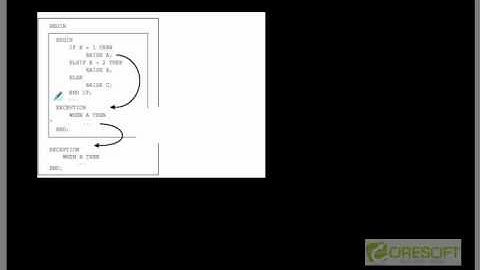 PLS-19: User Defined Exceptions in PL/SQL