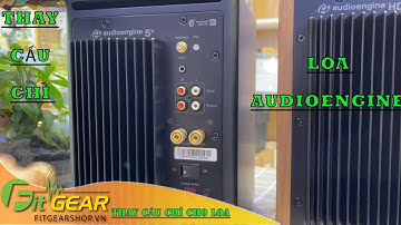 Hướng dẫn thay cầu chì cho loa Audioengine A5+ wireless | Audioengine HD6