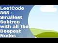 Leetcode 865 Smallest Subtree with all Deepest Node | Tree | Python Solution