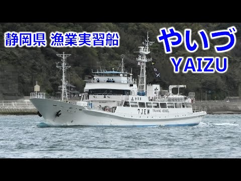 カツオ一本釣り 漁業実習船 やいづ - 焼津水産高校 - TS YAIZU - 2022APR - Shipspotting Japan @JG2AS
