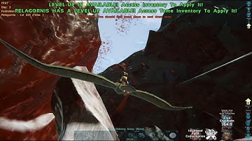 Wildcard, please, fix this Extinction Mesh Hole