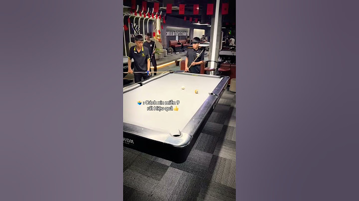Khi các báo thủ đi chơi Bida #billiards #pool #pool8ball #snooker