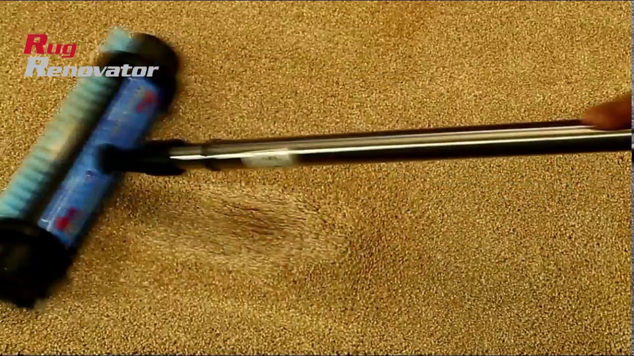 Amazon Com Rug Renovator Carpet Cleaning Kit Brush 32 Oz Carpet Shampoo Health Personal Care