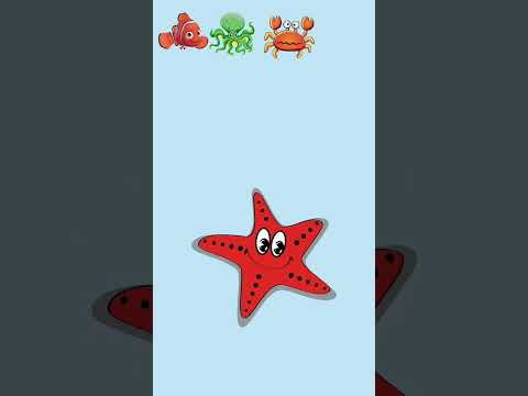 spin,-ikan-koi,-gurita,-bintang-laut,-kepiting-#shorts