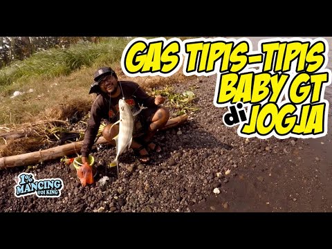 Umpan jitu baby gt || mancing baby gt di baros pantai samas Jogja