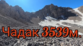 :  3539. 31.08.2024.. #uzbekistan # #
